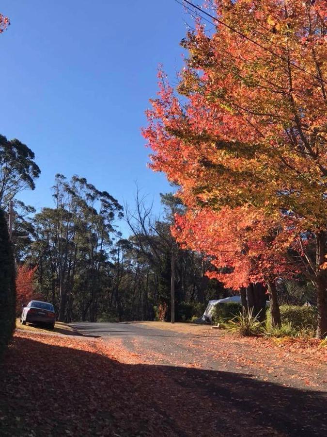 Newly Built - Blue On Albion Villa Katoomba Eksteriør billede